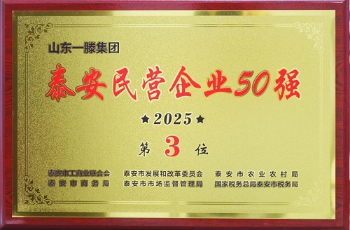 一滕集团荣登2025年泰安民营企业50强榜单第3名
